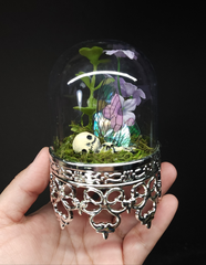 Fairy Dome Terranium