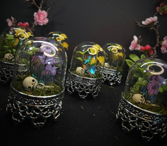 Fairy Dome Terranium