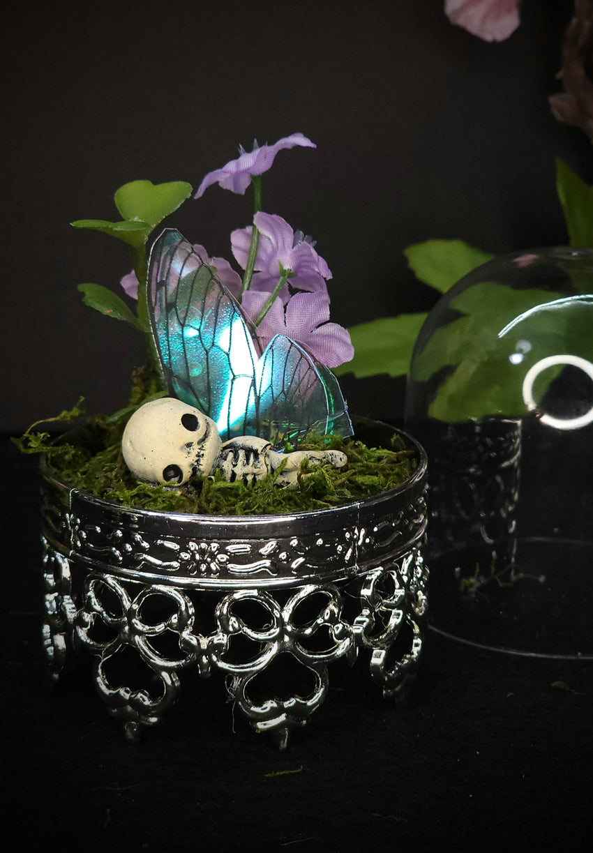 Fairy Dome Terranium