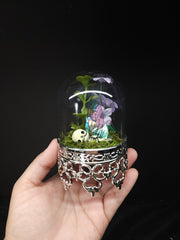 Fairy Dome Terranium