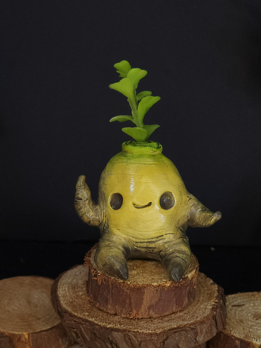 Mandrake Sculpture Campbell