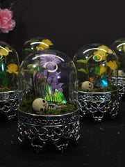 Fairy Dome Terranium