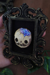 Geode Skull Frame Magnet