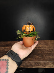 Pumpkin Sculpture In Pot 5