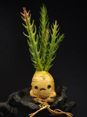 Mandrake Mae Sculpture